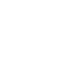 Deco Sarv Core Values